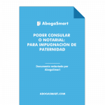 Poder Consular Notarial: Para Rectificación de Partidas